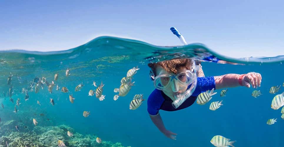 Ano Novo no Egito Ano Novo no Egito